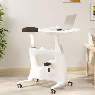 Home office 2024 desk bike